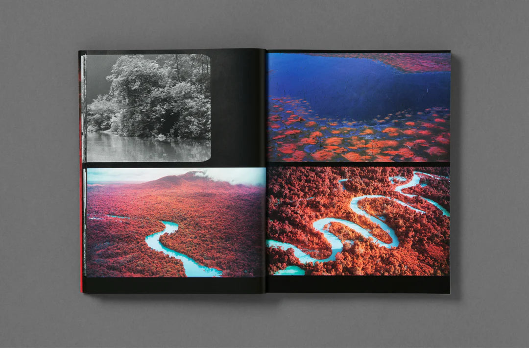 Richard Mosse, Broken Spectre - Loose Joints