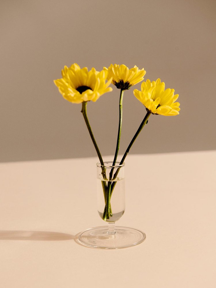 Mini Vase - Hay