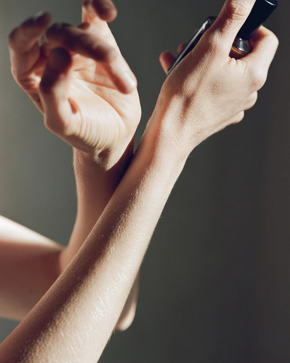 Deep Forest Eau de Parfum - 50ml - Frama